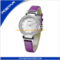 New Fashion Crystal Design Women Watches Hot Selling Fashion Watch